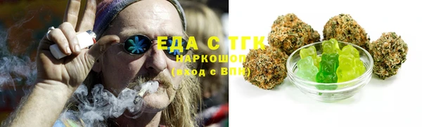 дмт Бородино
