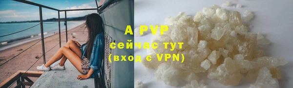 стаф Бронницы
