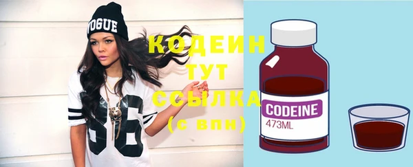 дмт Бородино