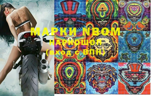 дмт Бородино