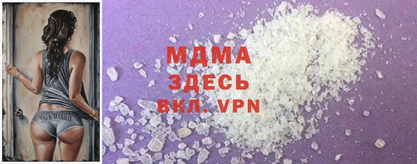 дмт Бородино