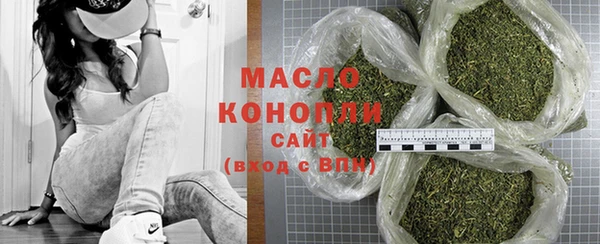 дмт Бородино