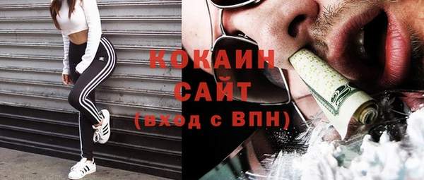 дмт Бородино