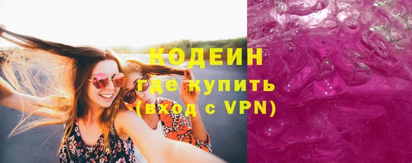 дмт Бородино
