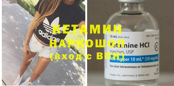 дмт Бородино